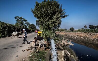 L'agriculteur égyptien Mohamed Omar (à gauche, portant un turban blanc) et d'autres agriculteurs approvisionnent leurs terres agricoles en eau à partir d'un canal alimenté par le Nil, dans le village de Baharmis, en périphérie de la province de Gizeh, au nord-ouest du Caire, le 1er décembre 2019. (Crédit : Khaled DESOUKI / AFP)