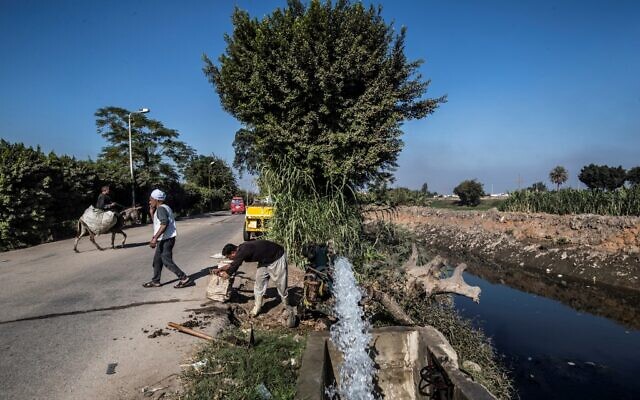 L'agriculteur égyptien Mohamed Omar (à gauche, portant un turban blanc) et d'autres agriculteurs approvisionnent leurs terres agricoles en eau à partir d'un canal alimenté par le Nil, dans le village de Baharmis, en périphérie de la province de Gizeh, au nord-ouest du Caire, le 1er décembre 2019. (Crédit : Khaled DESOUKI / AFP)