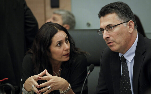 Les députés du Likud Miri Regev et Gideon Sa'ar lors d'une réunion de comité à la Knesset, le 27 octobre 2014. (Miriam Alster / Flash90 / Archives)