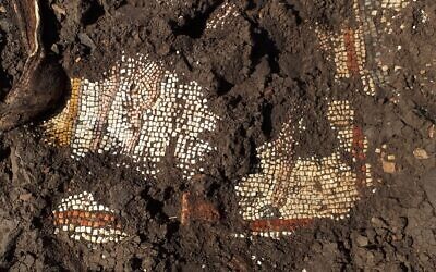 Les vestiges d'une mosaïque du 3è siècle dans une synagogue de la ville antique de Majdulia, sur le Golan (Autorisation)