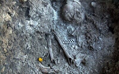 Des restes humains de 12 000 ans inhumés dans un matériau blanc et retrouvés sur le site d'Ein Gev (Autorisation)