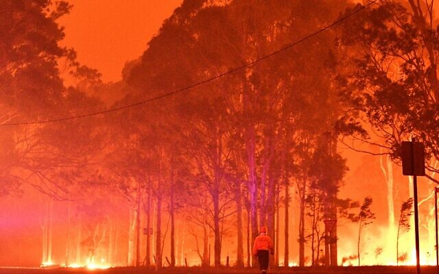 Un pompier passe devant des arbres en feu pendant une bataille contre des feux de brousse autour de la ville de Nowra dans l'État australien de Nouvelle-Galles du Sud le 31 décembre 2019. (Crédit : SAEED KHAN / AFP) Un pompier passe devant des arbres en feu pendant une bataille contre des feux de brousse autour de la ville de Nowra dans l'État australien de Nouvelle-Galles du Sud le 31 décembre 2019. (Crédit : SAEED KHAN / AFP)