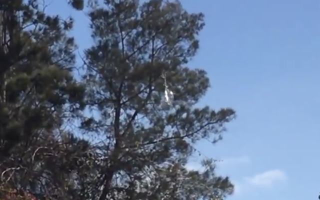 Un ballon chargé d'explosifs a été retrouvé accroché à un arbre à Sderot, le 26 janvier 2020. (Capture d'écran)