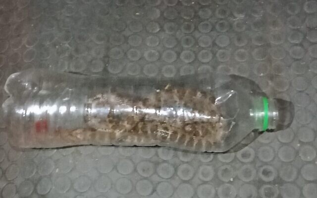 Un serpent placé par un soldat dans un véhicule palestinien à un check-point militaire, au mois de décembre 2019 (Crédit : Nidal Sa'eed)
