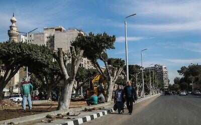 Arbres partiellement coupés et construction dans une rue d'Héliopolis, au Caire, la capitale égyptienne, le 27 janvier 2020. (Crédit : Mohamed el-Shahed / AFP)