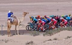 Le peloton lors de la troisième étape du Tour cycliste des Émirats entre al-Maroum et Jebel Hafeet, le 24 février 2020. (Crédit : Giuseppe CACACE / AFP)