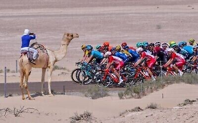 Le peloton lors de la troisième étape du Tour cycliste des Émirats entre al-Maroum et Jebel Hafeet, le 24 février 2020. (Crédit : Giuseppe CACACE / AFP)