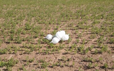 Un engin explosif suspecté attaché à des gants en latex gonflés a été lancé depuis Gaza, le 5 février 2020. (Crédit : police israélienne)