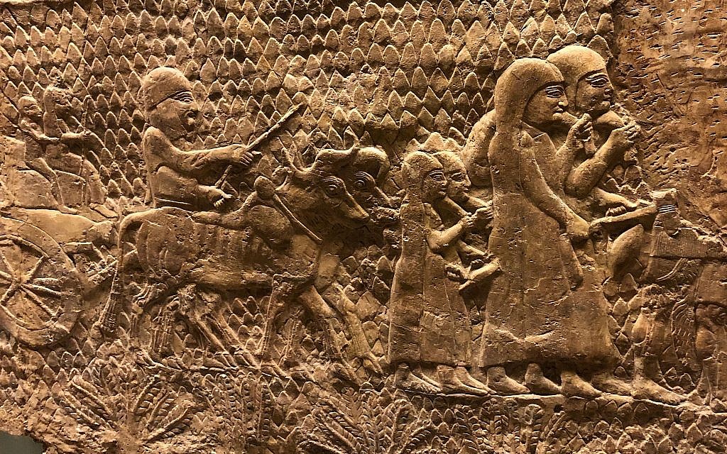 Un bas-relief exposé au British Museum dépeint l'armée assyrienne rasant Lachish pendant leur conquête et leur destruction des implantations de Judah. (Crédit : Amanda Borschel-Dan/Times of Israel)