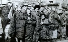 Prisonniers à Auschwitz-Birkenau à la Liberation, en janvier 1945 (Crédit : Wikimedia Commons)