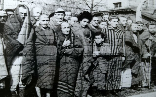 Prisonniers à Auschwitz-Birkenau à la Liberation, en janvier 1945 (Crédit : Wikimedia Commons)