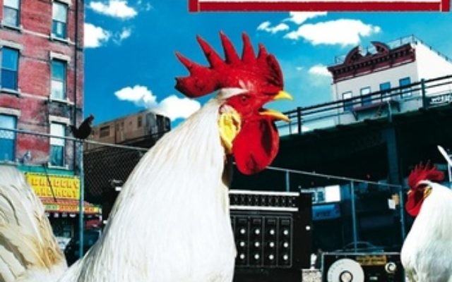 Balkan Beat Box (photo credit: album cover)