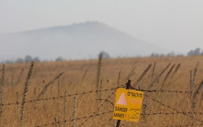 Photo d'illustration d'un champ de mines dans le  nord d'Israël  (Crédit: Yossi Zamir/Flash90)
