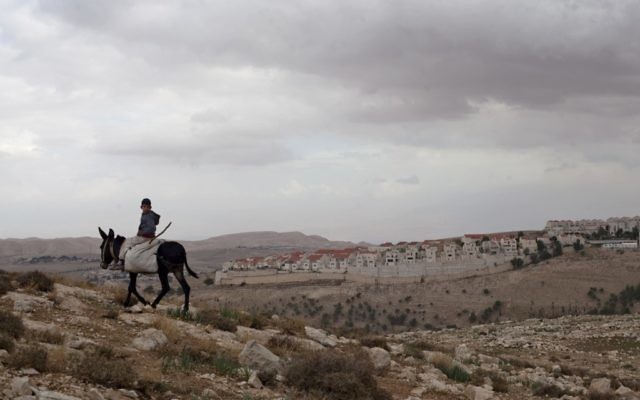 Un Palestinien à dos d'âne dans la zone E1 de Cisjordanie avec Maale Adumim en arrière-plan. (Crédit : AP/Sebastian Scheiner) Un Palestinien à dos d'âne dans la zone E1 de Cisjordanie avec Maale Adumim en arrière-plan. (Crédit : AP/Sebastian Scheiner)