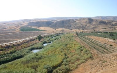 Une vue du fleuve Jourdain, à Naharayim, l'île de la Paix. (Crédit : Shmuel Bar-Am)