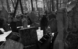 Le cimetière juif de Prague. (Crédit : Rachael Cerrotti/Flash90)