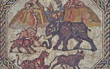 Mosaïques découvertes à Lod (photo credit: Niki Davidov/courtesy of the Israel Antiquities Authority)