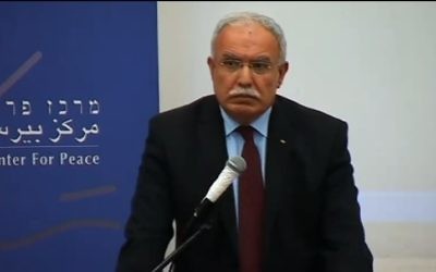 Riyad Al-Malki (Crédit : Capture d'écran Youtube/PeresCenter)