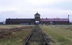 Illustration : Les rails de chemin de fer qui mènent au camp d'extermination d'Auschwitz-Birkenau, en Pologne. (Crédit : Serge Attal/Flash90)