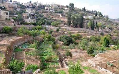 Les terrasses agricoles du village de Battir (Crédit : autorisation de l'ONG Les Amis de la Terre/Moyen Orient/FoEME)