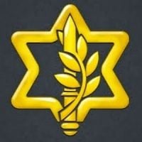 Illustration : Logo de l'armée israélienne. (Crédit : Capture d'écran/YouTube)