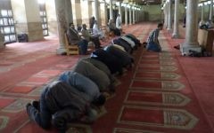 Illustration. Des musulmans prient à la grande mosquée al-Azhar au Caire, le 14 février 2014 (Crédit : Khaled Desouki/AFP)