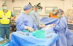 Le personnel de l'hôpital Rambam "opère" pendant un exercice de simulation. (Autorisation)