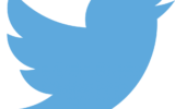 Logo Twitter (Crédit : Twitter)