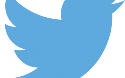 Logo Twitter (Crédit : Twitter)