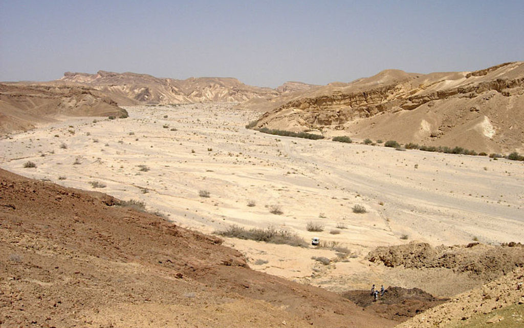 Vue sur le désert du Néguev (Crédit : Mark A. Wilson/Wikimedia commons)