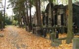 Le cimetière juif de Wroclaw, en Pologne. Illustration. (Crédit : CC BY Emmanuel Dyan/Flickr)