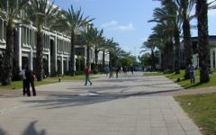 Le campus de l'université de Tel Aviv. Illustration. (Crédit : Ido Perelmutter/domaine public/Wikimedia Commons)