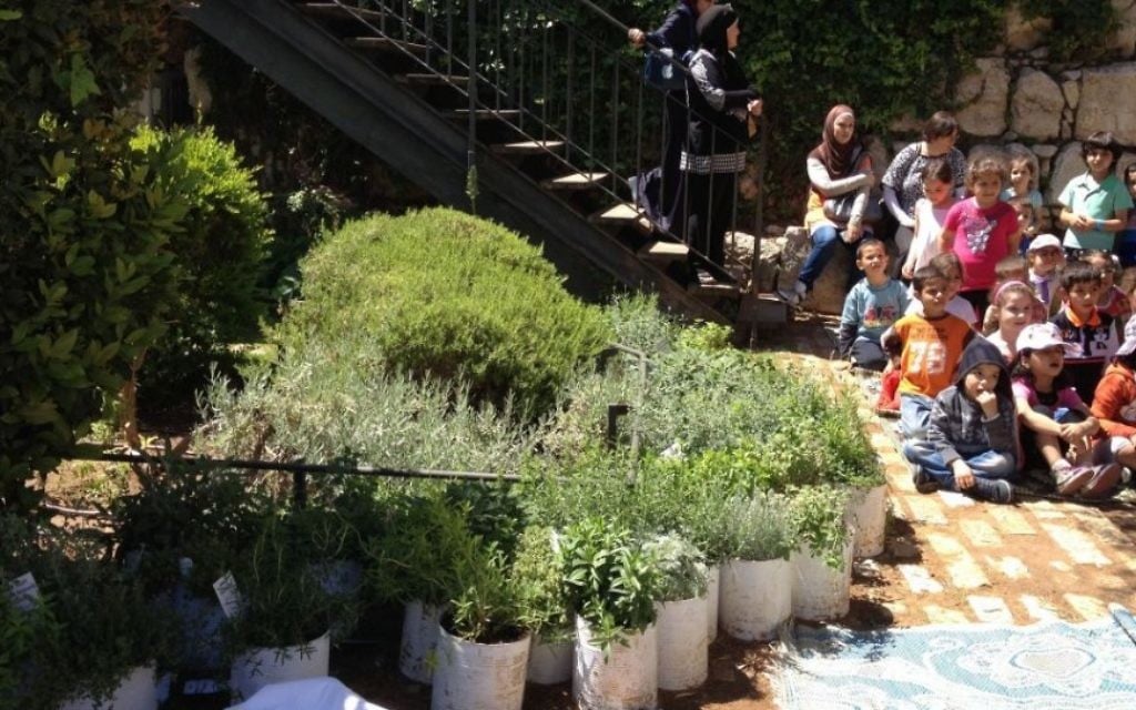 Un jardin attenant au musée de la Tour de David (Crédit : Jessica Steinberg/Times of Israel)