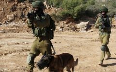Un capteur d'explosifs développé en Israël pourrait un jour prendre en charge la plupart des fonctions d'un chien de détection. (Crédit : Gershon Elinson/Flash90)