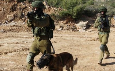 Un capteur d'explosifs développé en Israël pourrait un jour prendre en charge la plupart des fonctions d'un chien de détection. (Crédit : Gershon Elinson/Flash90)