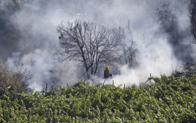 Incendie de forêt dans les montagnes de  Jérusalem (Crédit : flash 90)