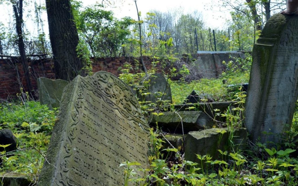 Un cimetière juif abandonné dans la ville de Tarnow, Pologne, 29 avril 2014 (Crédit : Yossi Zeliger / FLASH90)