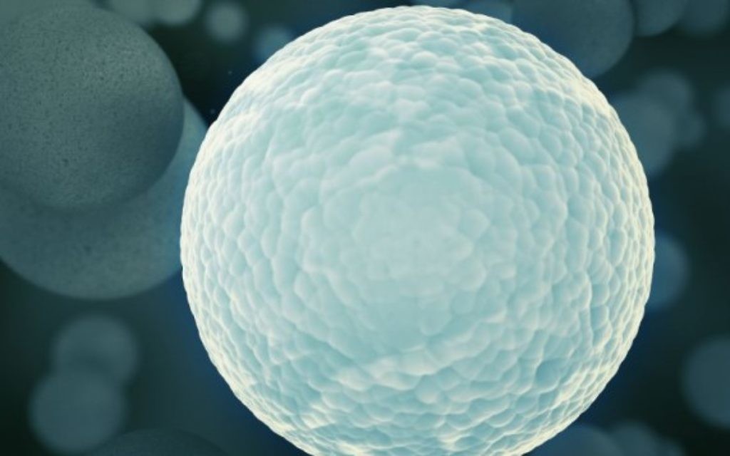 Photo d'une cellule au microscope (Crédit : Cell image)