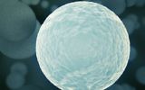 Photo d'une cellule au microscope (Crédit : Cell image)