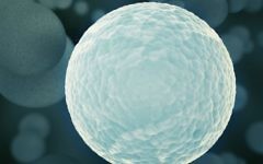 Photo d'une cellule au microscope (Crédit : Cell image)