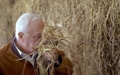 Ariel Sharon (Crédit : GPO)