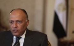 Sameh Choukri, ministre égyptien des Affaires étrangères. (Crédit : capture d'écran YouTube)