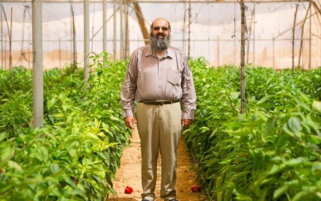 Eliyahu Ozan se trouve dans un de ses champs. (Crédit photo: Michal Fattan)