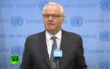 Vitali Tchourkine, ambassadeur de la Russie aux Nations unies. (Crédit : capture d’écran YouTube)
