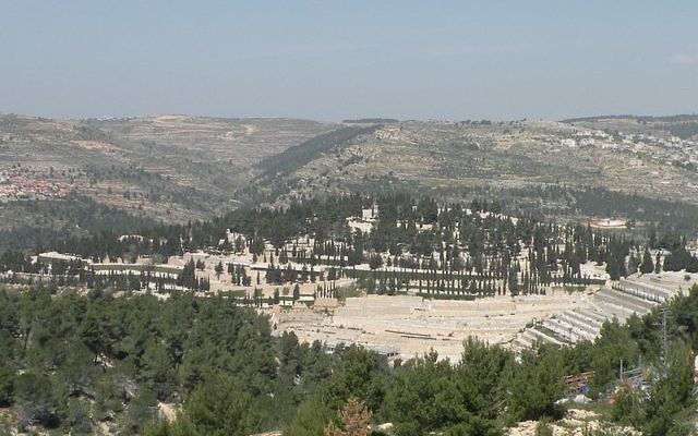 Vue sur Har Hamenuchot (Crédit : Effib/Wikimedia commons)