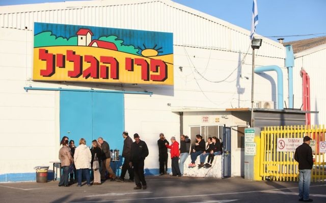 Les ouvriers de Pri Hagalil devant leur usine, le 1er janvier 2015 (Crédit : Flash90)