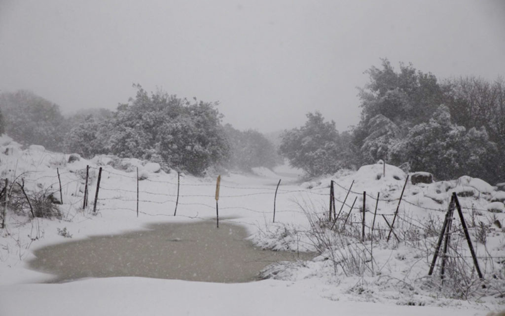 Paysages couverts de neige dans le plateau du Golan, le nord d'Israël - 7 janvier 2015. (Crédit : Basal Awidat / FLASH90)