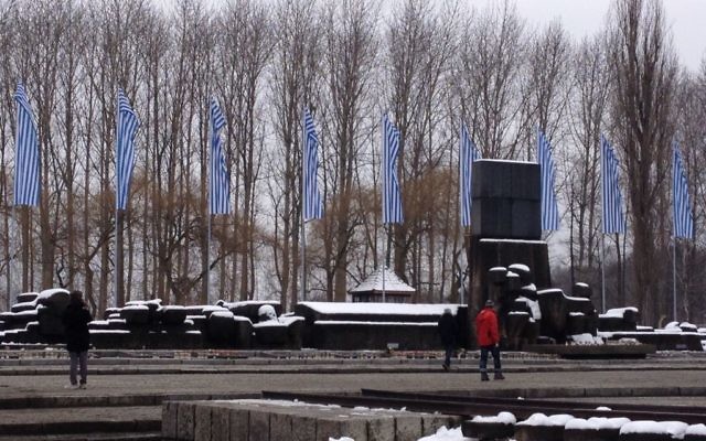 Les bannières blanches et bleues flottant au mémorial d'Auschwitz-Birkenau le 28 janvier 2015 (Crédit : Amanda Borschel-Dan/The Times of Israel)