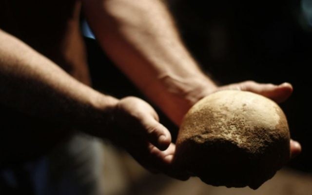 Un crâne d'homme moderne découvert dans une grotte en Israël (Crédit : Judah Ari Gross)