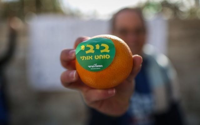 Un partisan de l'Union sioniste tient une mandarine où il est écrit : "Bibi me presse" (Crédit : Hadas Parush/Flash90)